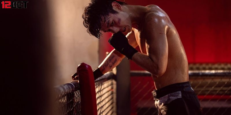 Boxing, cá cược boxing và các quy định liên quan