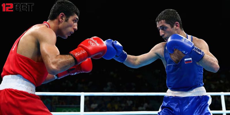 Boxing - cá cược cực hấp dẫn