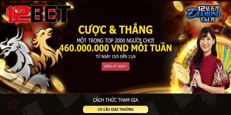 Vào link trên điện thoại & máy tính